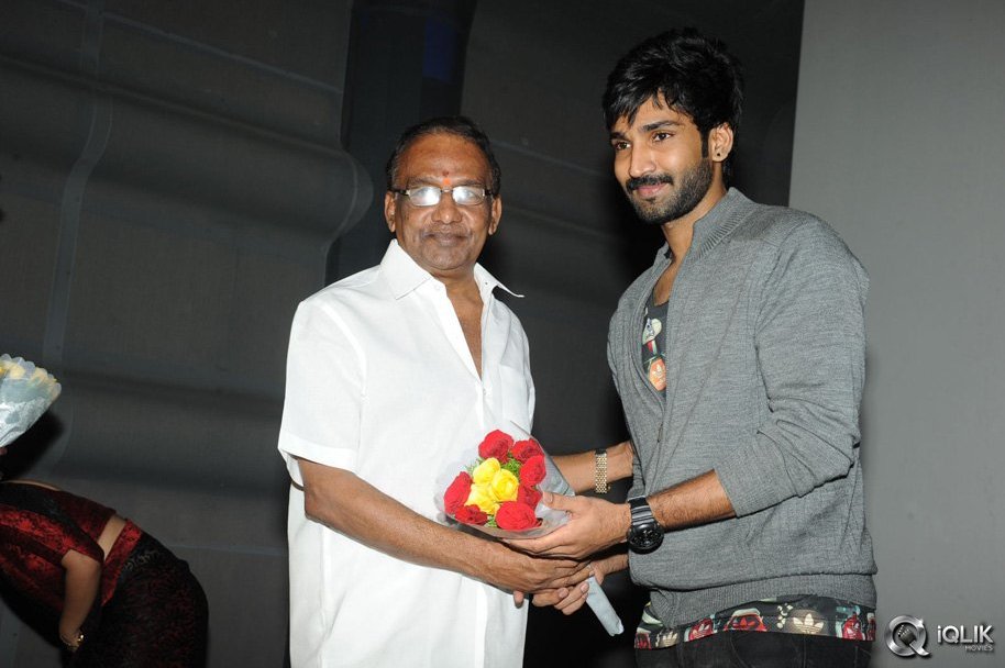 Malupu-Movie-Trailer-Launch